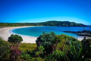 Northland-Tourism-Visitor-Research